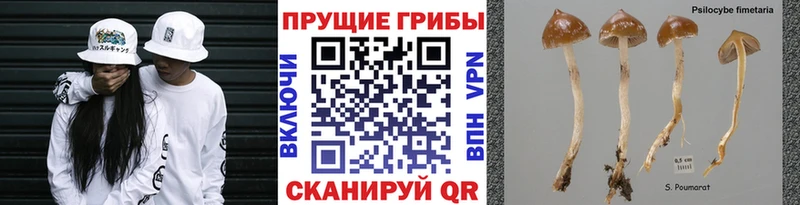 Псилоцибиновые грибы прущие грибы  Фролово 